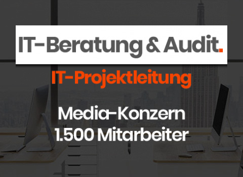 Projektleitung ERP Softwareeinführung Media-Konzern